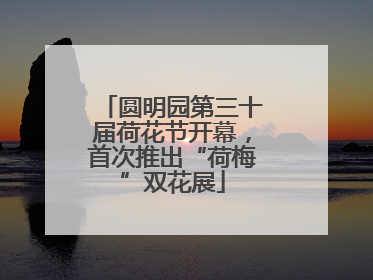 圆明园第三十届荷花节开幕，首次推出“荷梅”双花展