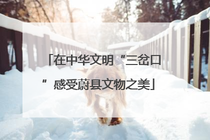 在中华文明“三岔口”感受蔚县文物之美