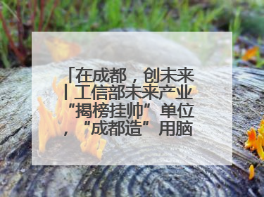 在成都，创未来丨工信部未来产业“揭榜挂帅”单位，“成都造”用脑机接口技术造福孤独症儿童