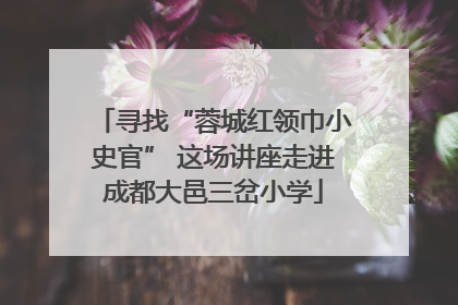 寻找“蓉城红领巾小史官” 这场讲座走进成都大邑三岔小学