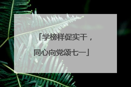 学榜样促实干，同心向党颂七一