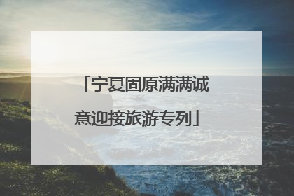 宁夏固原满满诚意迎接旅游专列