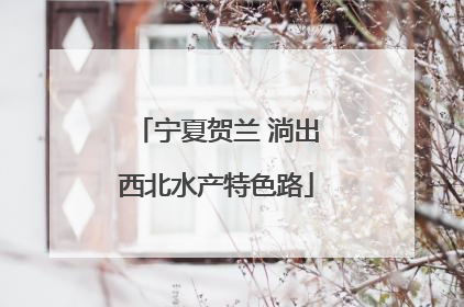 宁夏贺兰 淌出西北水产特色路