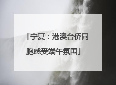 宁夏：港澳台侨同胞感受端午氛围