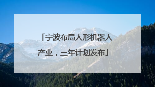 宁波布局人形机器人产业，三年计划发布
