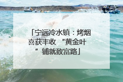 宁远冷水镇：烤烟喜获丰收 “黄金叶”铺就致富路
