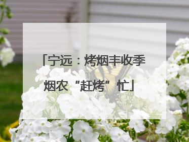宁远：烤烟丰收季 烟农“赶烤”忙