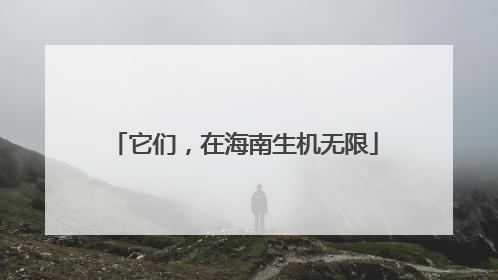 它们，在海南生机无限