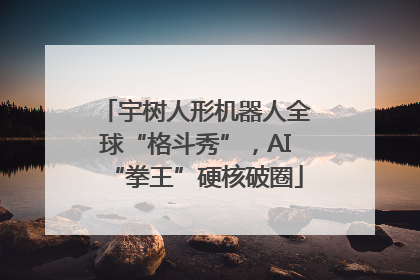 宇树人形机器人全球“格斗秀”，AI“拳王”硬核破圈