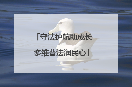 守法护航助成长 多维普法润民心