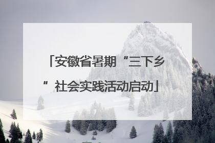 安徽省暑期“三下乡”社会实践活动启动
