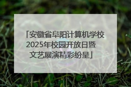 安徽省阜阳计算机学校2025年校园开放日暨文艺展演精彩纷呈