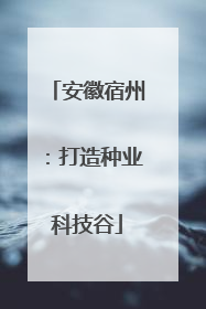 安徽宿州：打造种业科技谷