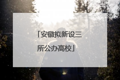 安徽拟新设三所公办高校