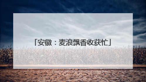 安徽：麦浪飘香收获忙