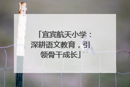 宜宾航天小学：深耕语文教育，引领骨干成长