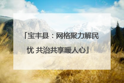 宝丰县：网格聚力解民忧 共治共享暖人心