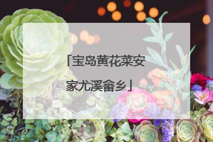 宝岛黄花菜安家尤溪畲乡