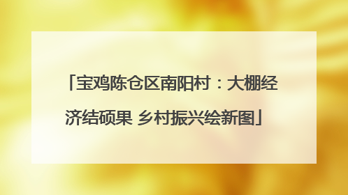 宝鸡陈仓区南阳村：大棚经济结硕果 乡村振兴绘新图