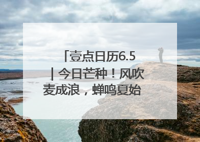 壹点日历6.5｜今日芒种！风吹麦成浪，蝉鸣夏始忙！大家早安