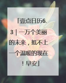 壹点日历6.3｜一万个美丽的未来，抵不上一个温暖的现在！早安
