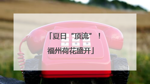 夏日“顶流”！福州荷花盛开