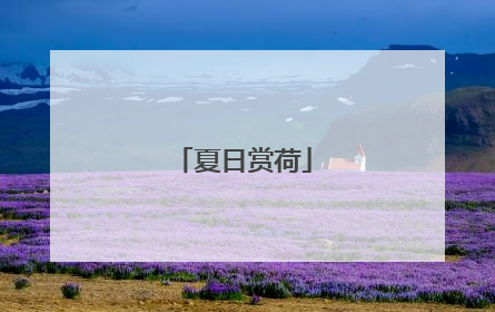 夏日赏荷