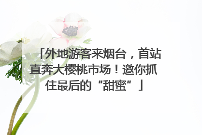 外地游客来烟台，首站直奔大樱桃市场！邀你抓住最后的“甜蜜”