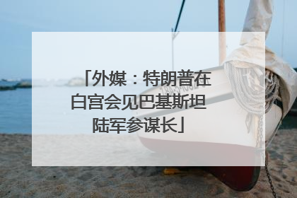 外媒：特朗普在白宫会见巴基斯坦陆军参谋长
