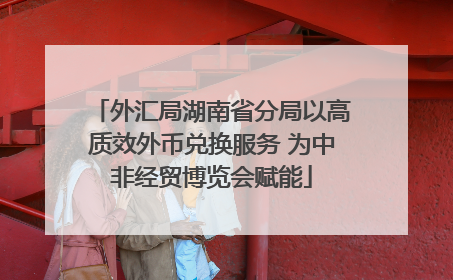 外汇局湖南省分局以高质效外币兑换服务 为中非经贸博览会赋能