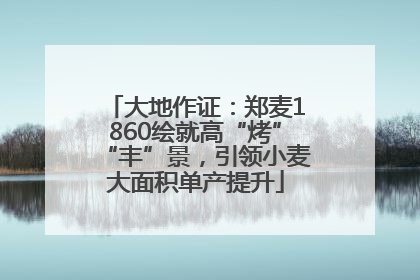 大地作证：郑麦1860绘就高“烤”“丰”景，引领小麦大面积单产提升