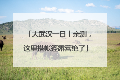 大武汉一日丨亲测，这里搭帐篷露营绝了