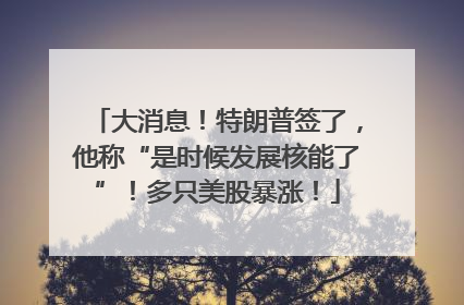 大消息！特朗普签了，他称“是时候发展核能了”！多只美股暴涨！