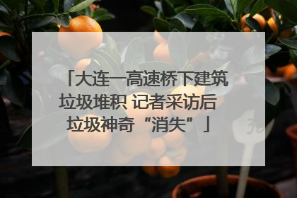 大连一高速桥下建筑垃圾堆积 记者采访后垃圾神奇“消失”