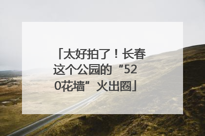 太好拍了！长春这个公园的“520花墙”火出圈