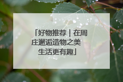好物推荐｜在周庄邂逅造物之美 生活更有趣