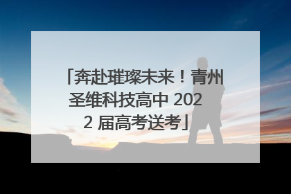 奔赴璀璨未来！青州圣维科技高中 2022 届高考送考