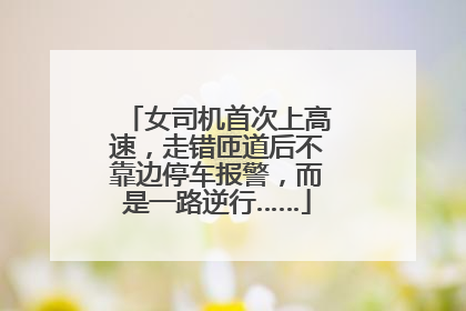 女司机首次上高速，走错匝道后不靠边停车报警，而是一路逆行……