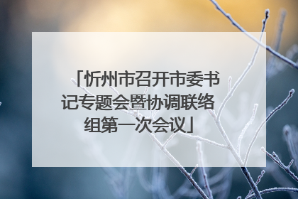 忻州市召开市委书记专题会暨协调联络组第一次会议