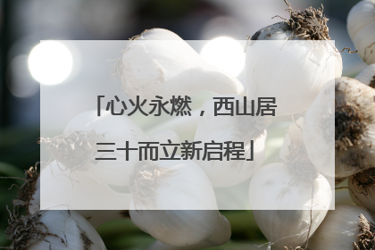 心火永燃，西山居三十而立新启程