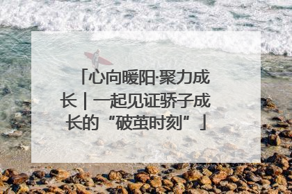 心向暖阳·聚力成长｜一起见证骄子成长的“破茧时刻”