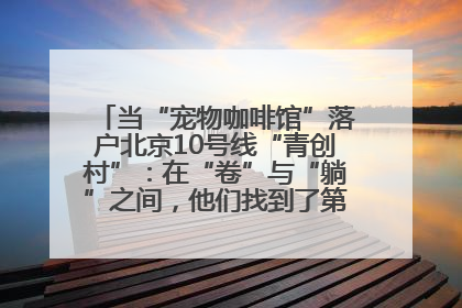 当“宠物咖啡馆”落户北京10号线“青创村”：在“卷”与“躺”之间，他们找到了第三种生活公式
