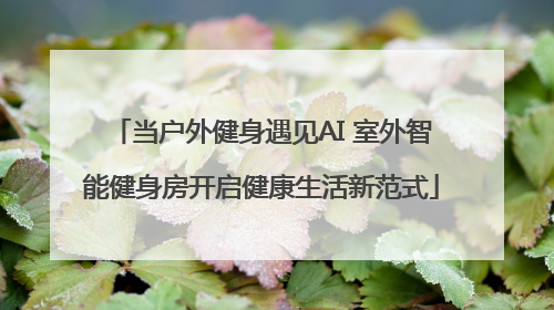当户外健身遇见AI 室外智能健身房开启健康生活新范式