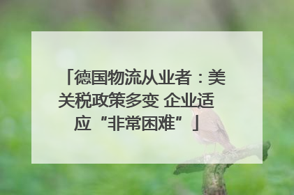德国物流从业者：美关税政策多变 企业适应“非常困难”