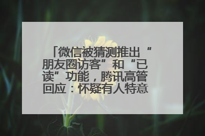 微信被猜测推出“朋友圈访客”和“已读”功能，腾讯高管回应：怀疑有人特意反复翻炒流量