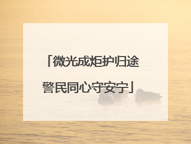 微光成炬护归途 警民同心守安宁