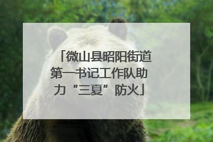 微山县昭阳街道第一书记工作队助力“三夏”防火