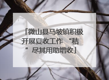 微山县马坡镇积极开展夏收工作 “秸”尽其用助增收