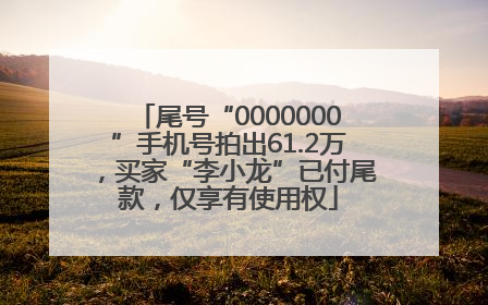 尾号“0000000”手机号拍出61.2万，买家“李小龙”已付尾款，仅享有使用权