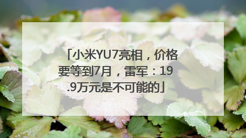 小米YU7亮相，价格要等到7月，雷军：19.9万元是不可能的
